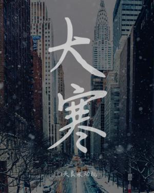 大寒封面
