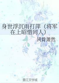 身世浮沈雨打萍（昭惜同人）封面