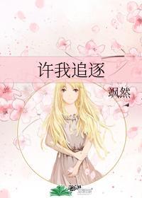 许我追逐封面