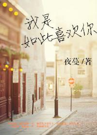 我是如此喜欢你封面