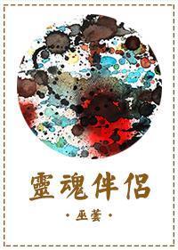 灵魂伴侣封面