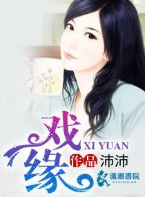 戏缘封面