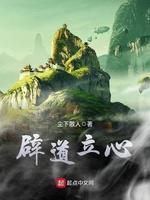 辟道立心封面