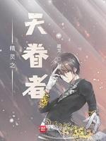 精灵之天眷者封面
