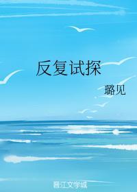 反覆试探封面