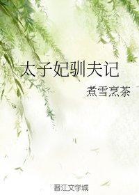太子妃驯夫记封面