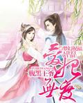 腹黑王爷：爱妃无度封面