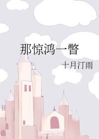 那惊鸿一瞥封面