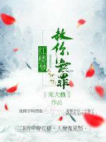 红楼同人之赦你无罪封面