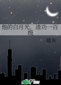 他的白月光，渣功一百级封面