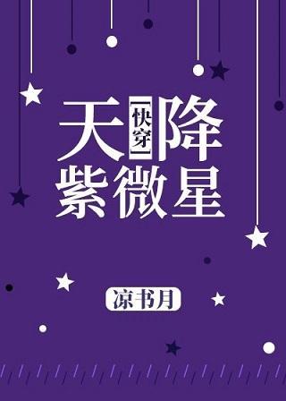 天降紫微星封面