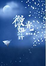微光如许封面