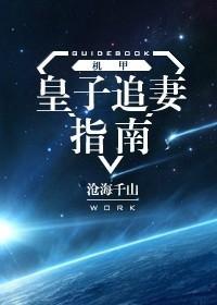 皇子追妻指南[机甲]封面