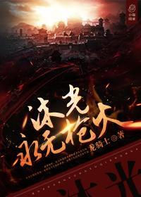 沐光永无枪火封面