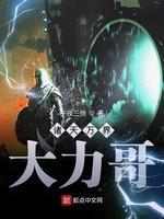 诸天万界大力哥封面