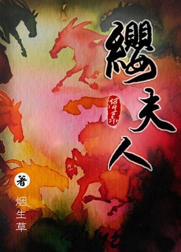 缨夫人封面