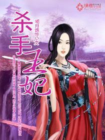 杀手王妃封面