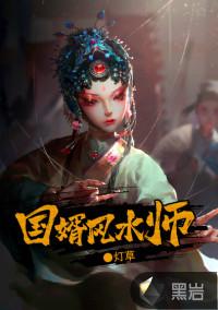国婿风水师封面