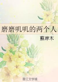 磨磨叽叽的两个人封面