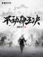 不动神王决封面