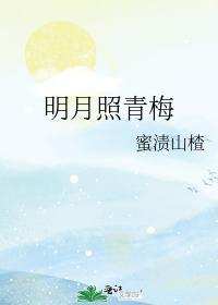 明月照青梅封面