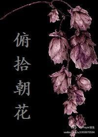 俯拾朝花封面