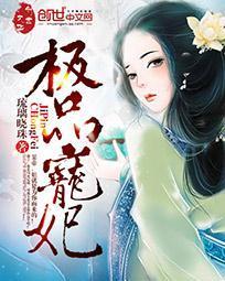 极品宠妃封面