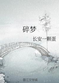 碎梦封面