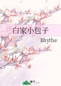 白家小包子封面