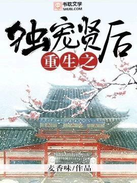 重生之独宠贤后封面