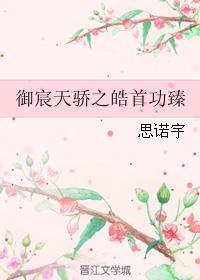 御宸天骄之皓首功臻封面
