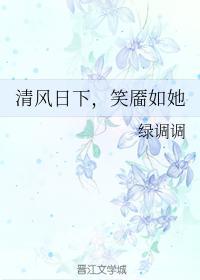 清风日下，笑靥如她封面