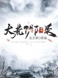 大荒阴阳录封面