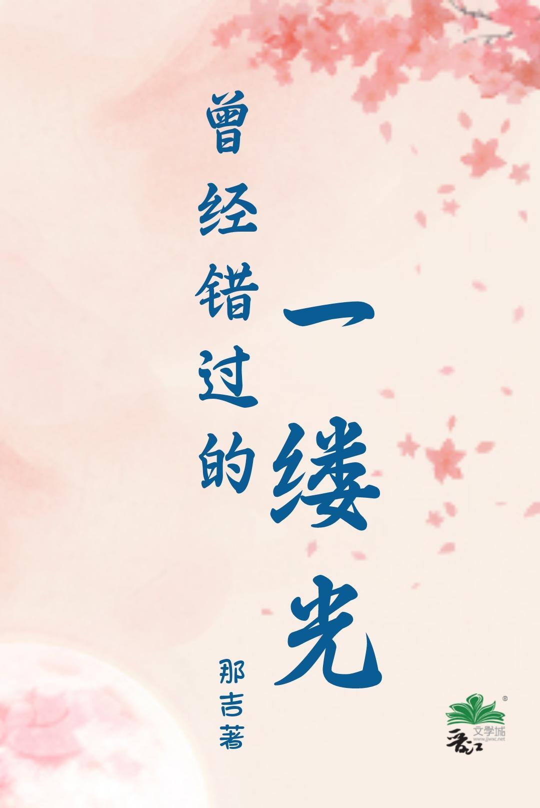 曾经错过的一缕光封面