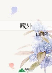 藏外封面