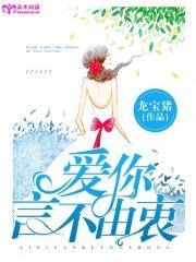 爱你言不由衷盛擎夏天晴封面
