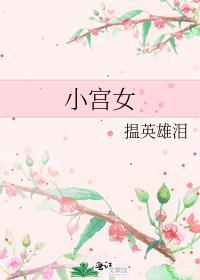 小宫女封面