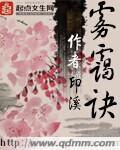 雾霭诀封面