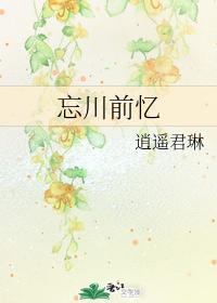 忘川前忆封面