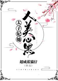 太子妃她人美心黑封面