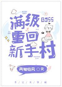 满级BOSS重回新手村封面