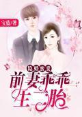 隐婚蜜爱：前妻乖乖生二胎封面
