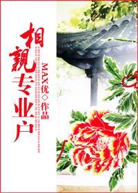 相亲专业户封面