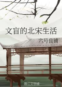 文盲的北宋生活封面