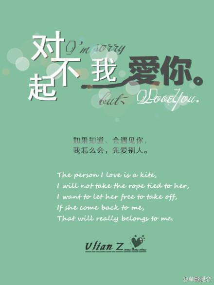 对不起，我爱你封面