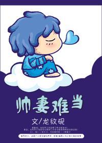 帅妻难当封面