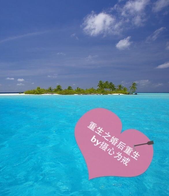 重生之婚后重生封面