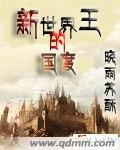 新世界王的国度封面