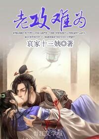 老攻难为封面