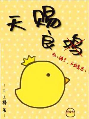 天赐良机封面